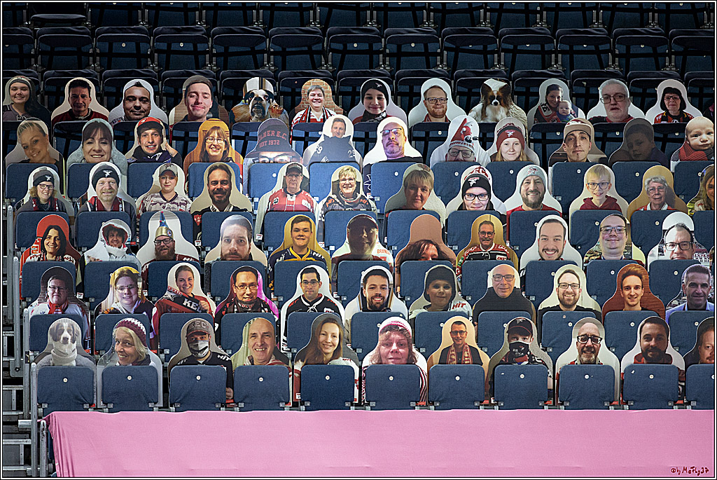 PENNY DEL;  Koelner Haie - Fischtown Pinguins Bremerhaven; Koeln, 12.02.2021